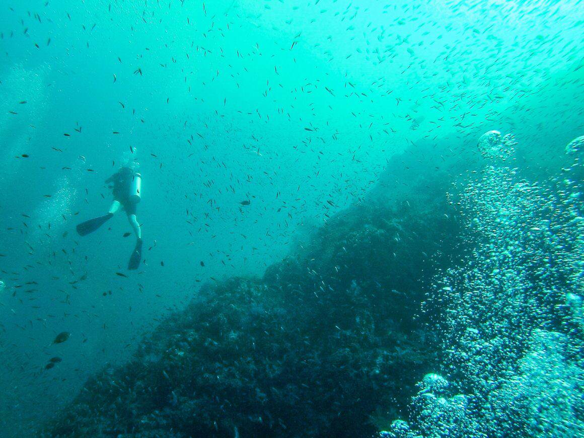 4 Days & 4 Nights on 6 sqm - Diving the Similan Islands