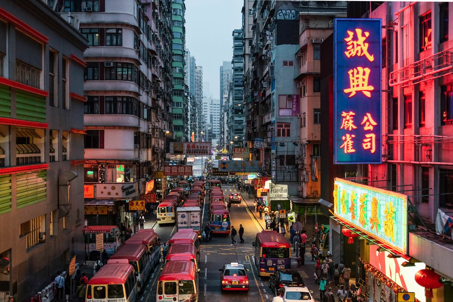 Hong Kong city guide: Urban jungle, island hopping & Instagram hotspots