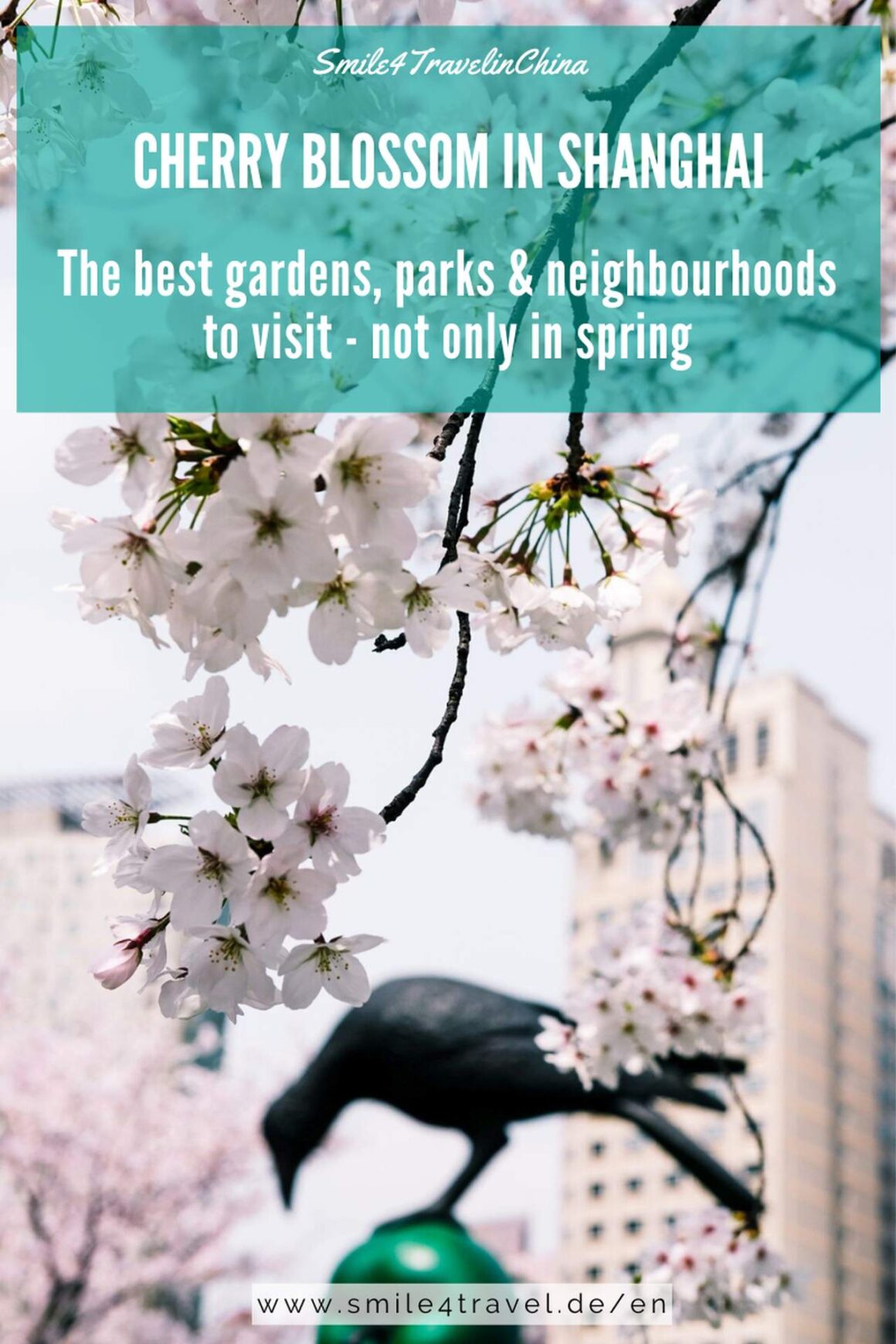 Shanghai S Most Beautiful Parks Not Only During Cherry Blossom