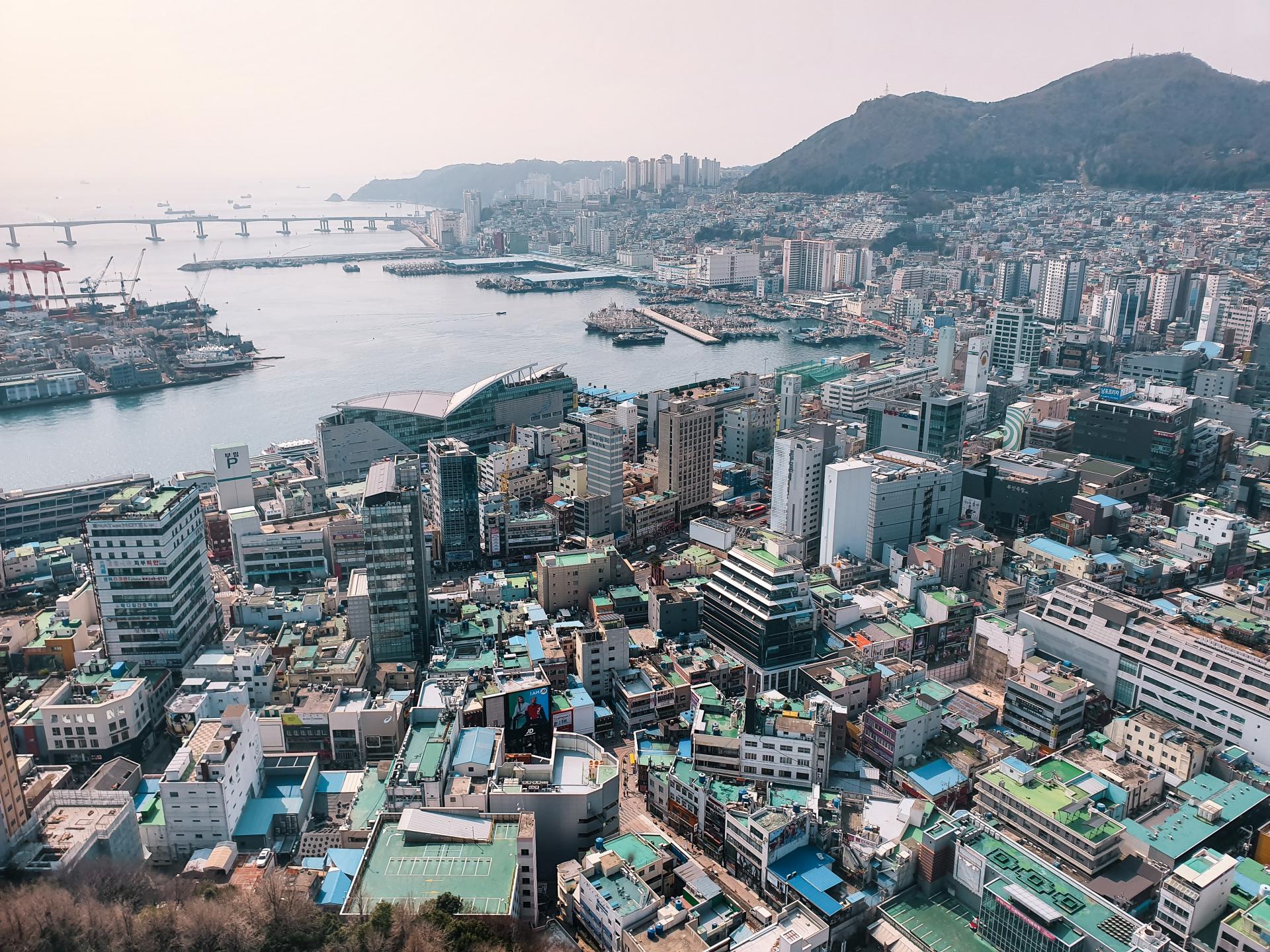 48 Stunden in Busan 8 Highlights die du nicht verpassen solltest