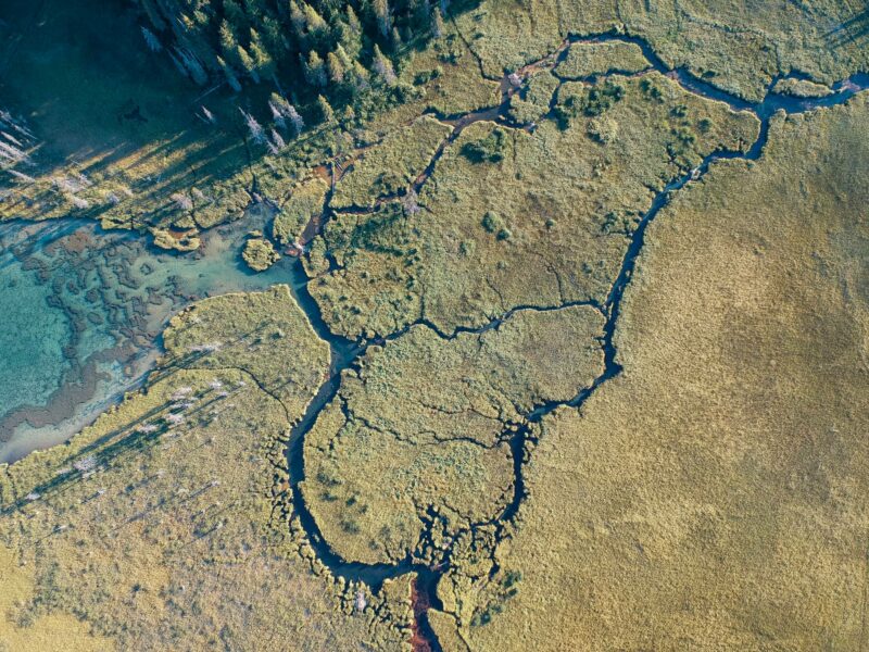 Mt. Hood Lake Guide Where to swim this summer