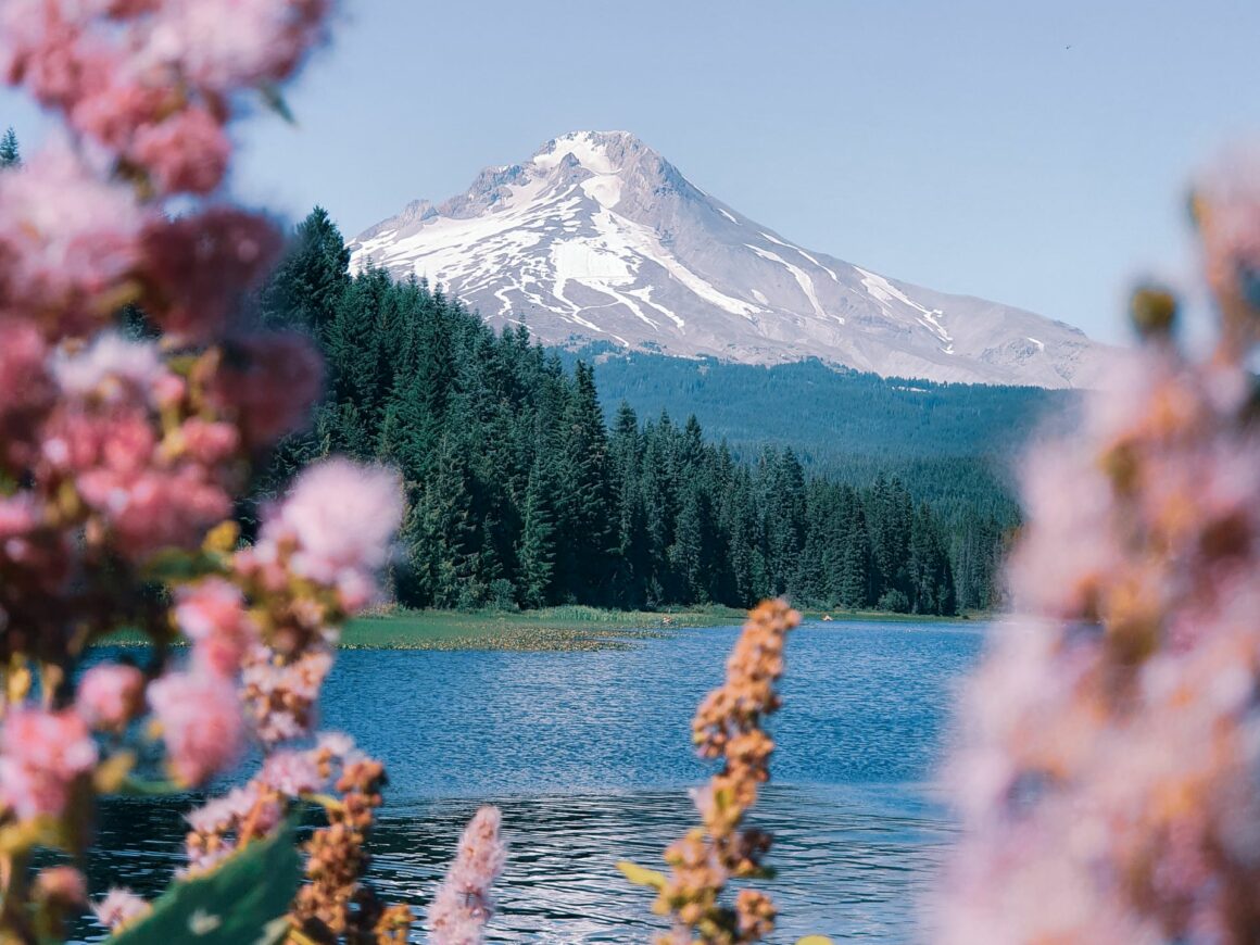 Mt. Hood Lake Guide: Where to swim this summer