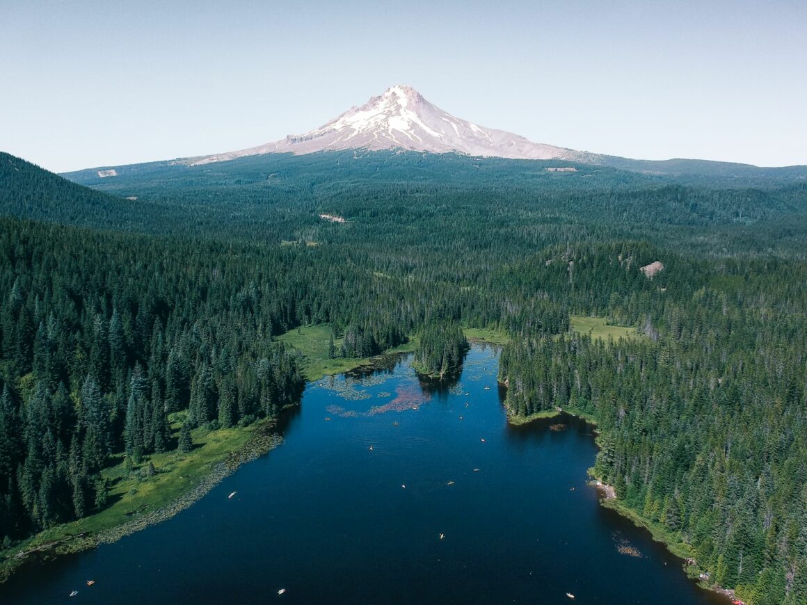 Mt hood clearance national forest hiking