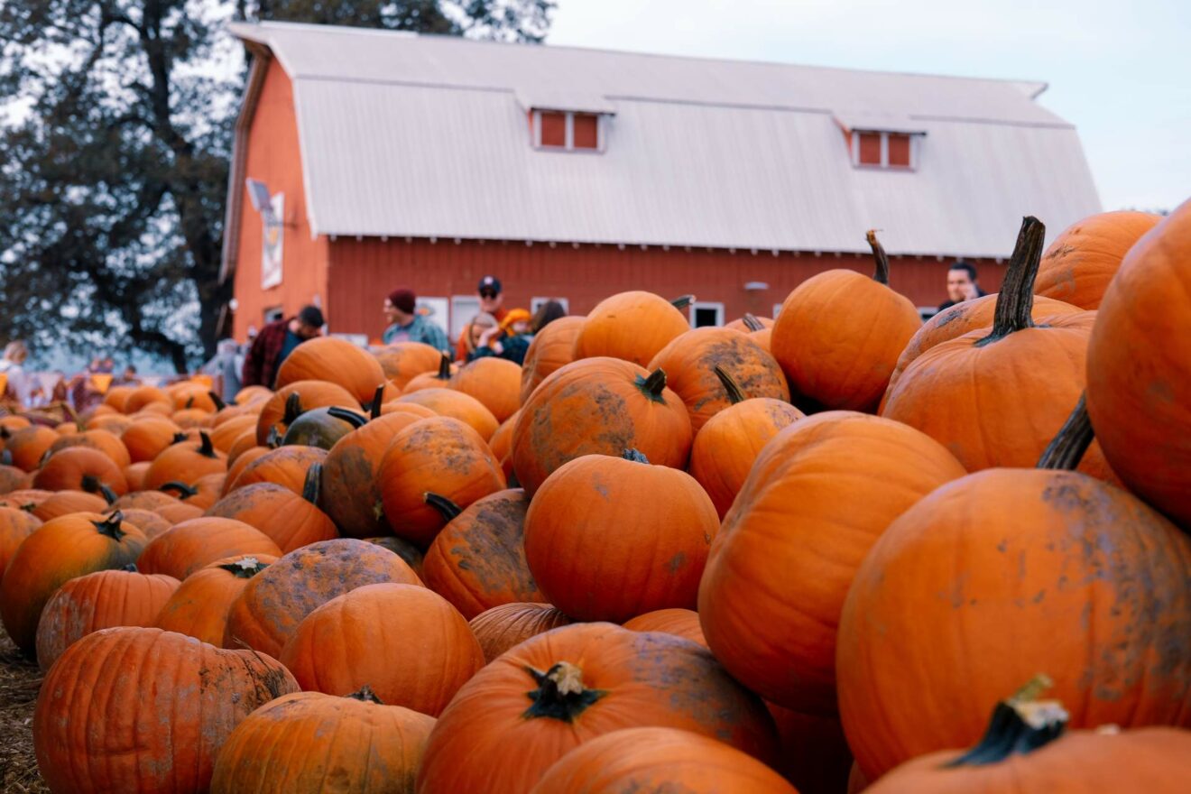 Portland October activities pumpkin patch, fall foliage & Halloween