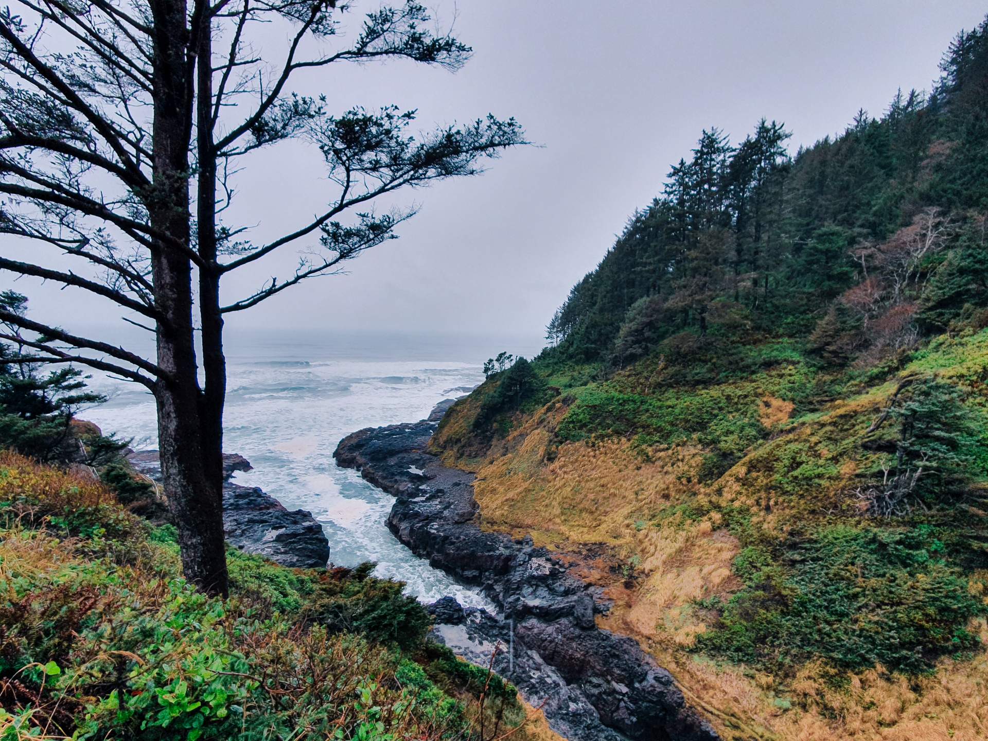 5 reasons to travel the Oregon Coast in winter