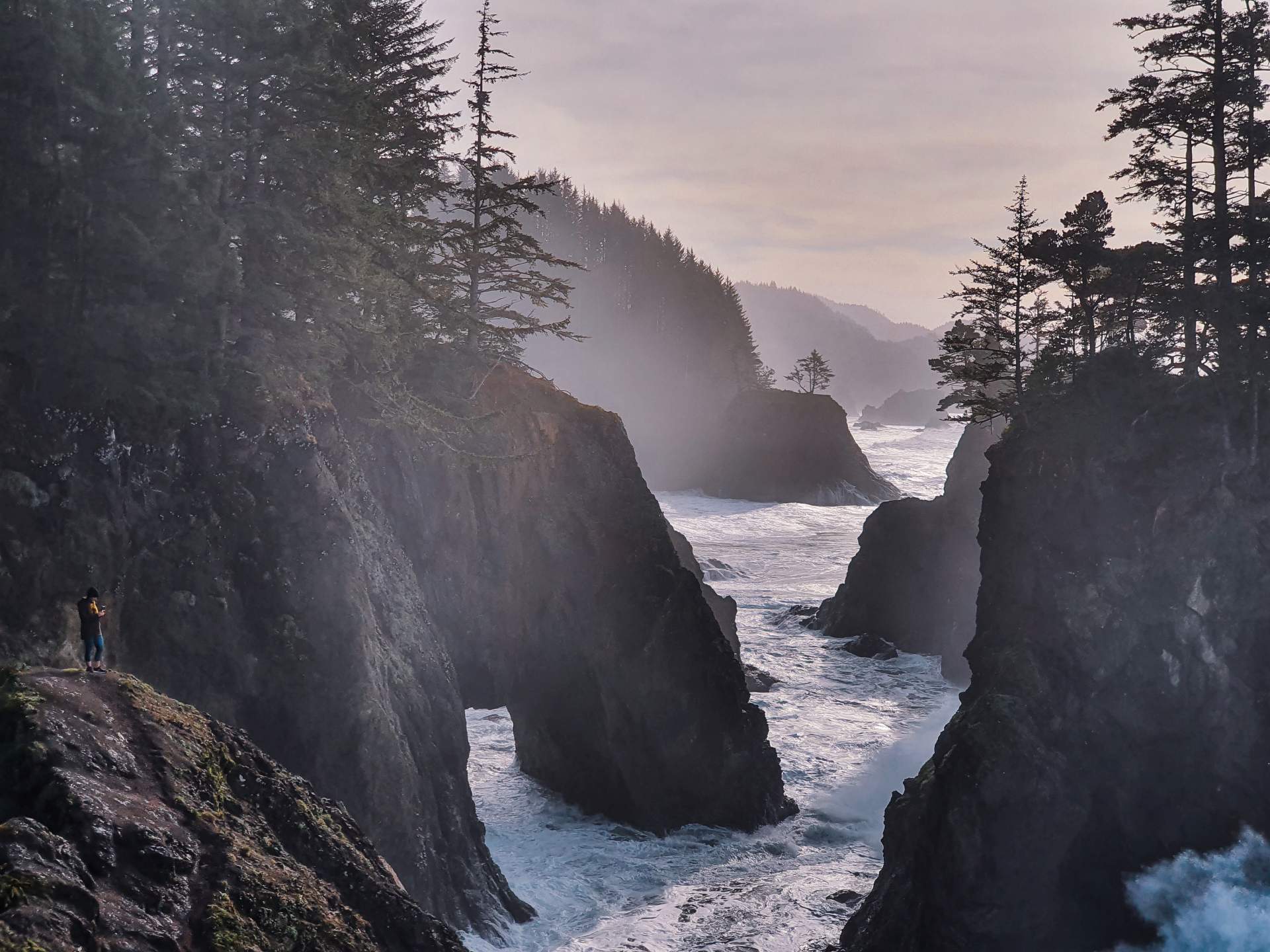 Photography Guide To Samuel H Boardman Oregon Coast