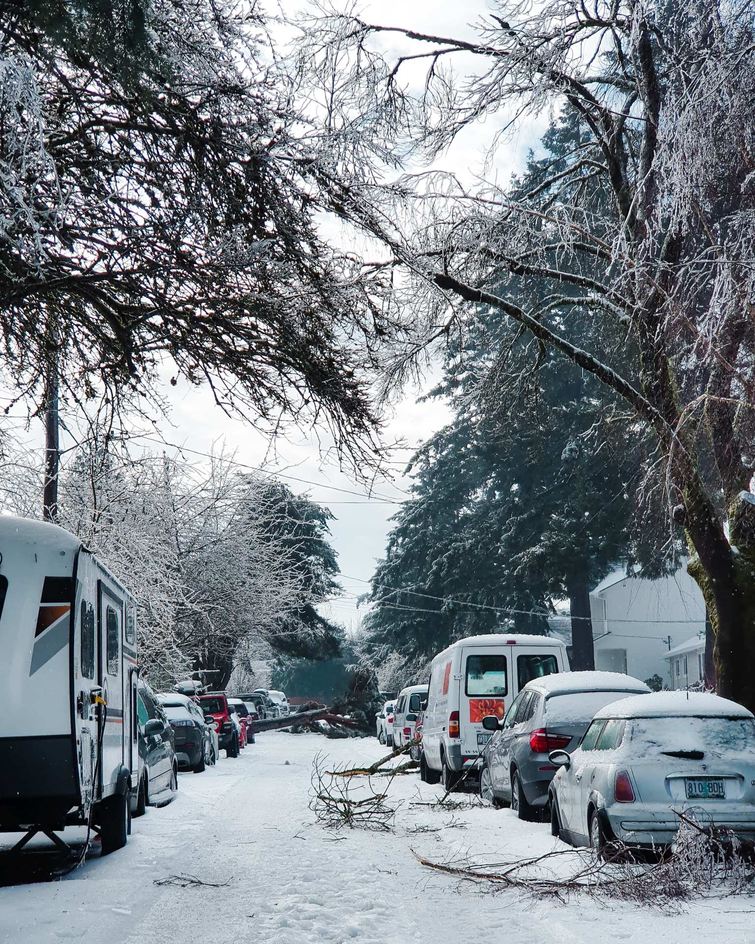 Snow in Portland Urban skiing & sledging for groceries