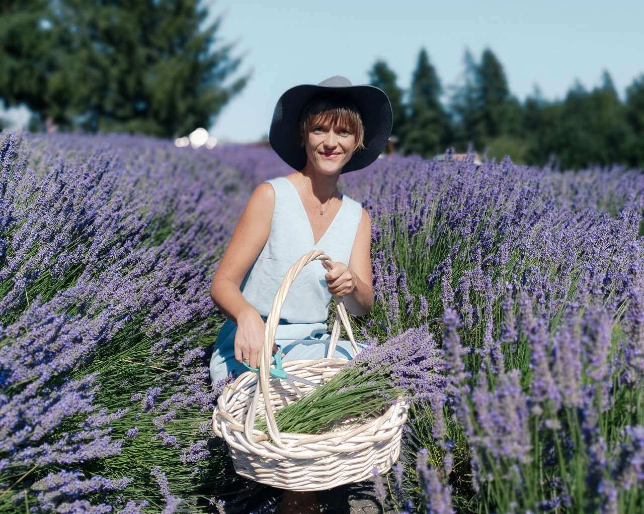 Local's guide to the 20 best lavender fields in Oregon 2022