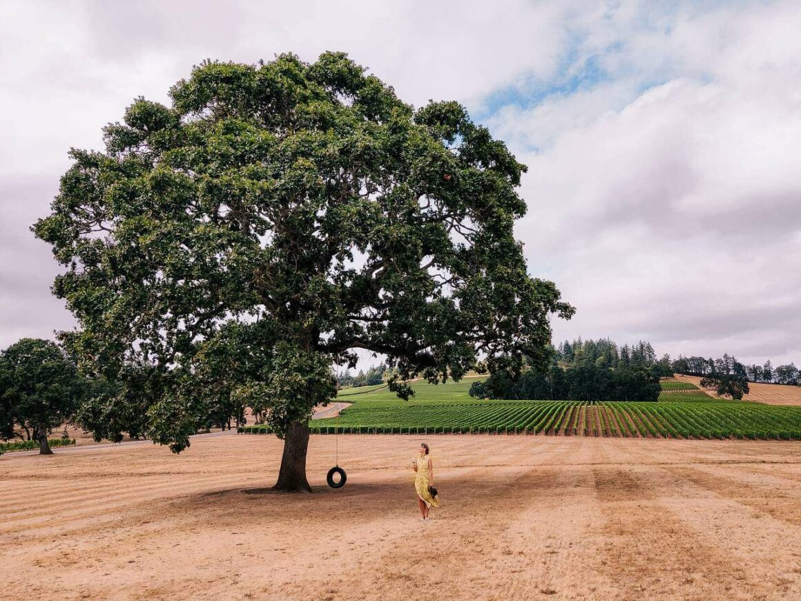 Oregon Wine Country: Weekend trip from Portland