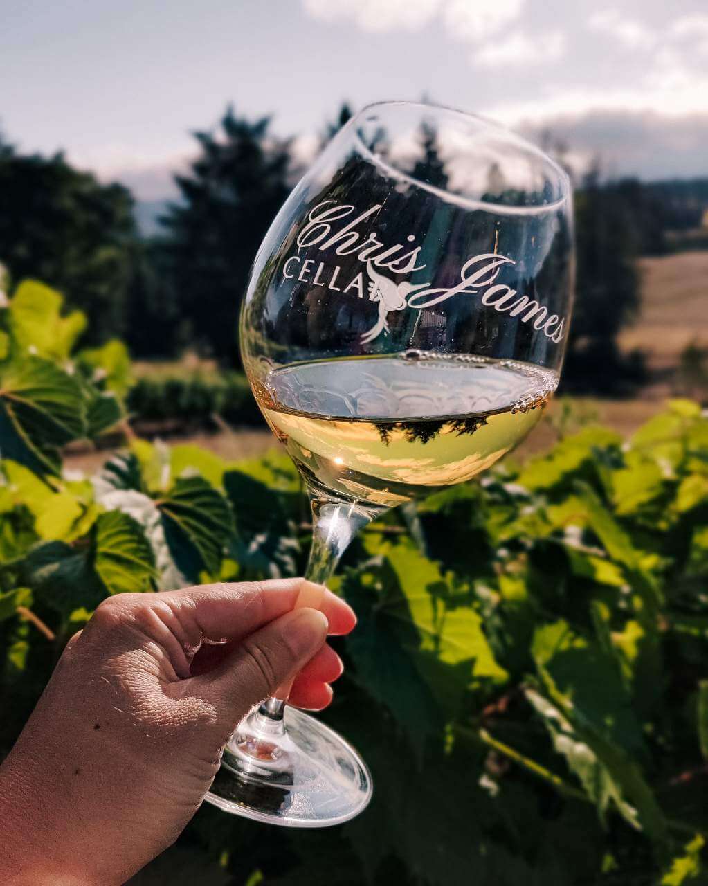 Winetasting Chris James Cellar Oregon
