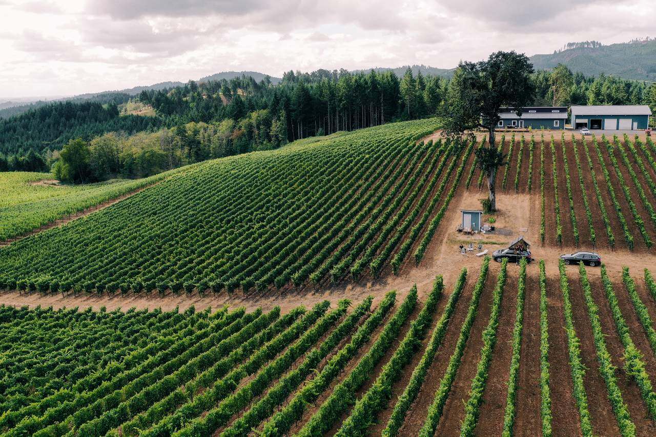 Oregon Wine Country Weekend trip from Portland