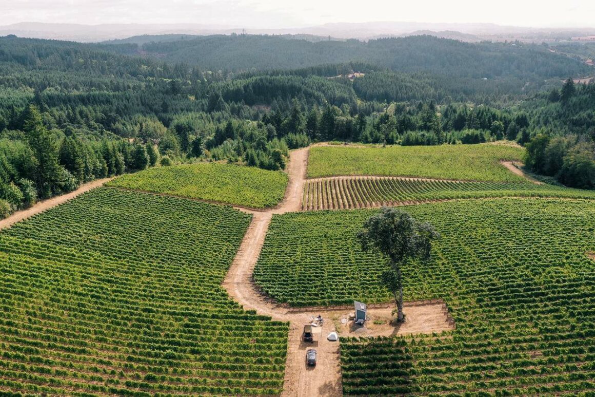 Camping Oregon Wine Country