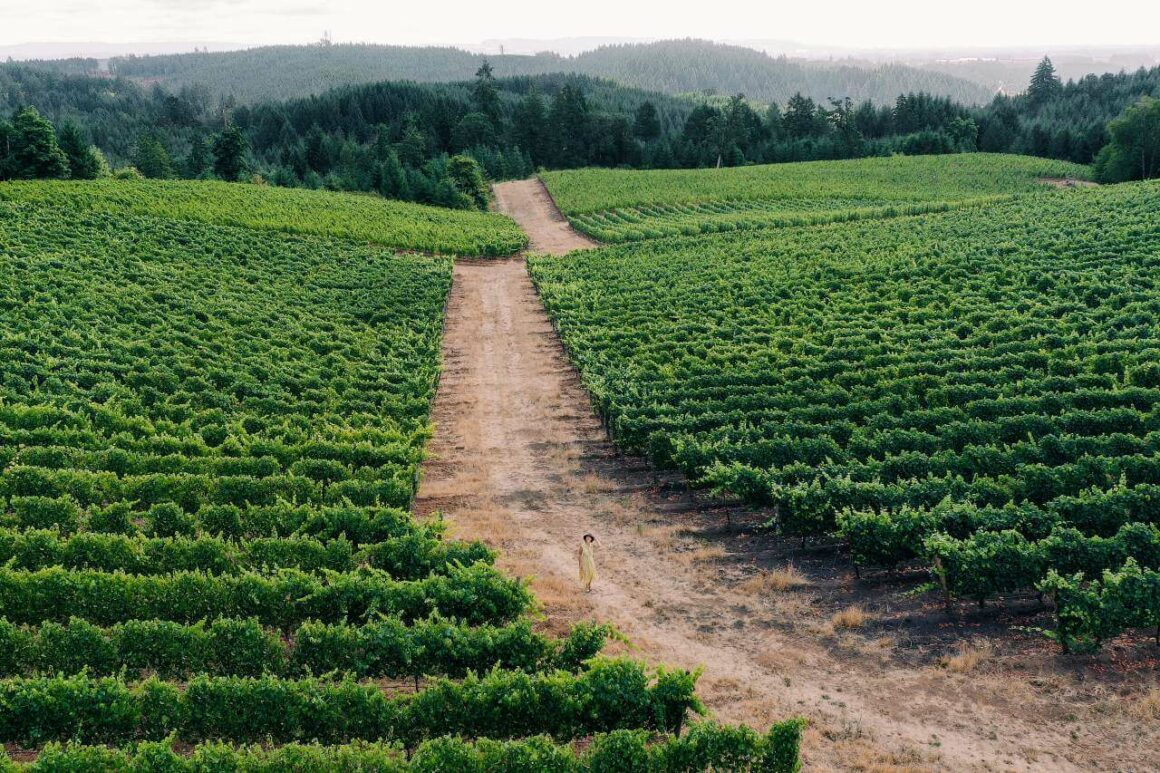 Oregon Wine Country Weekend trip from Portland