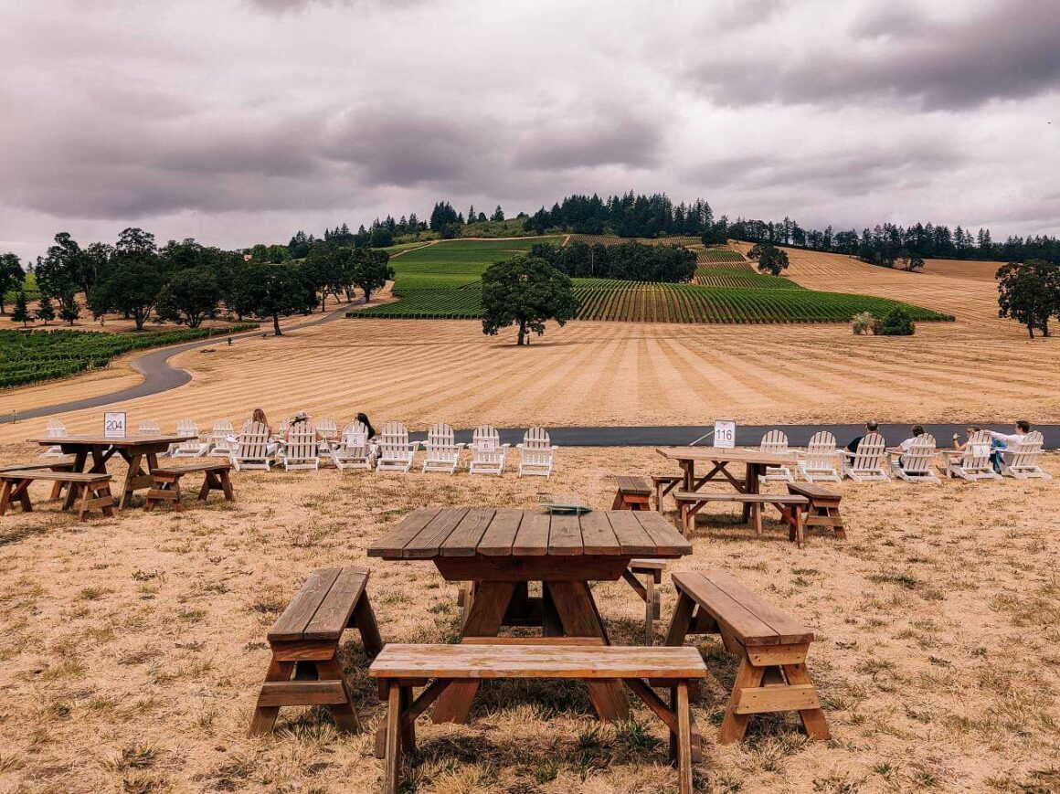 Ausblick auf das umliegende Weinland