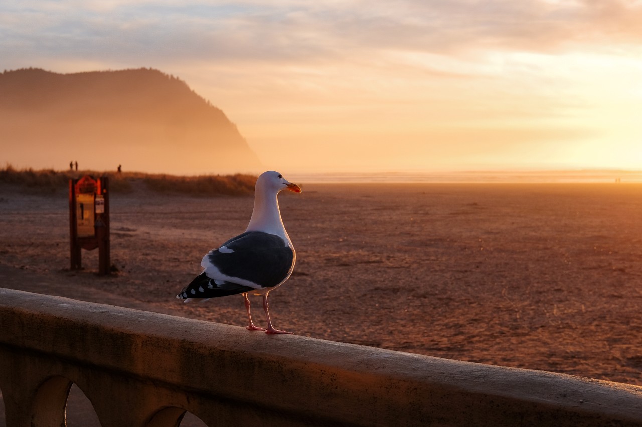 southern oregon coast towns