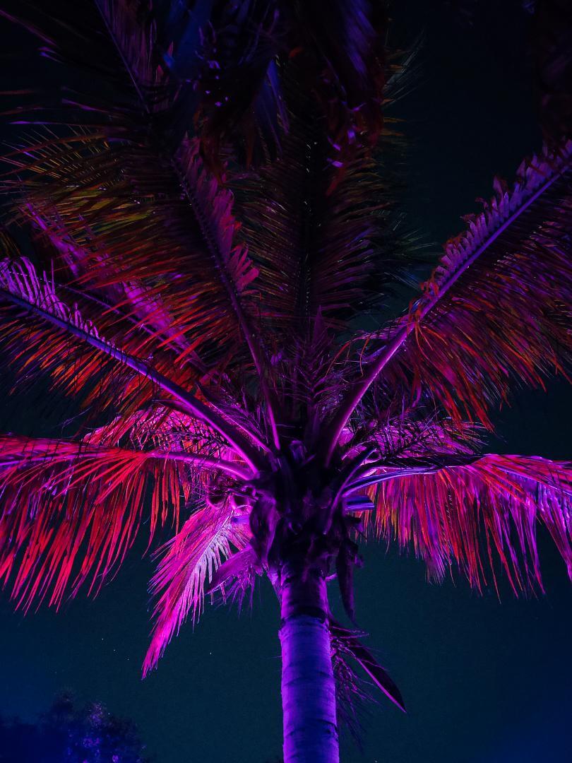 Miami Nachtleben
