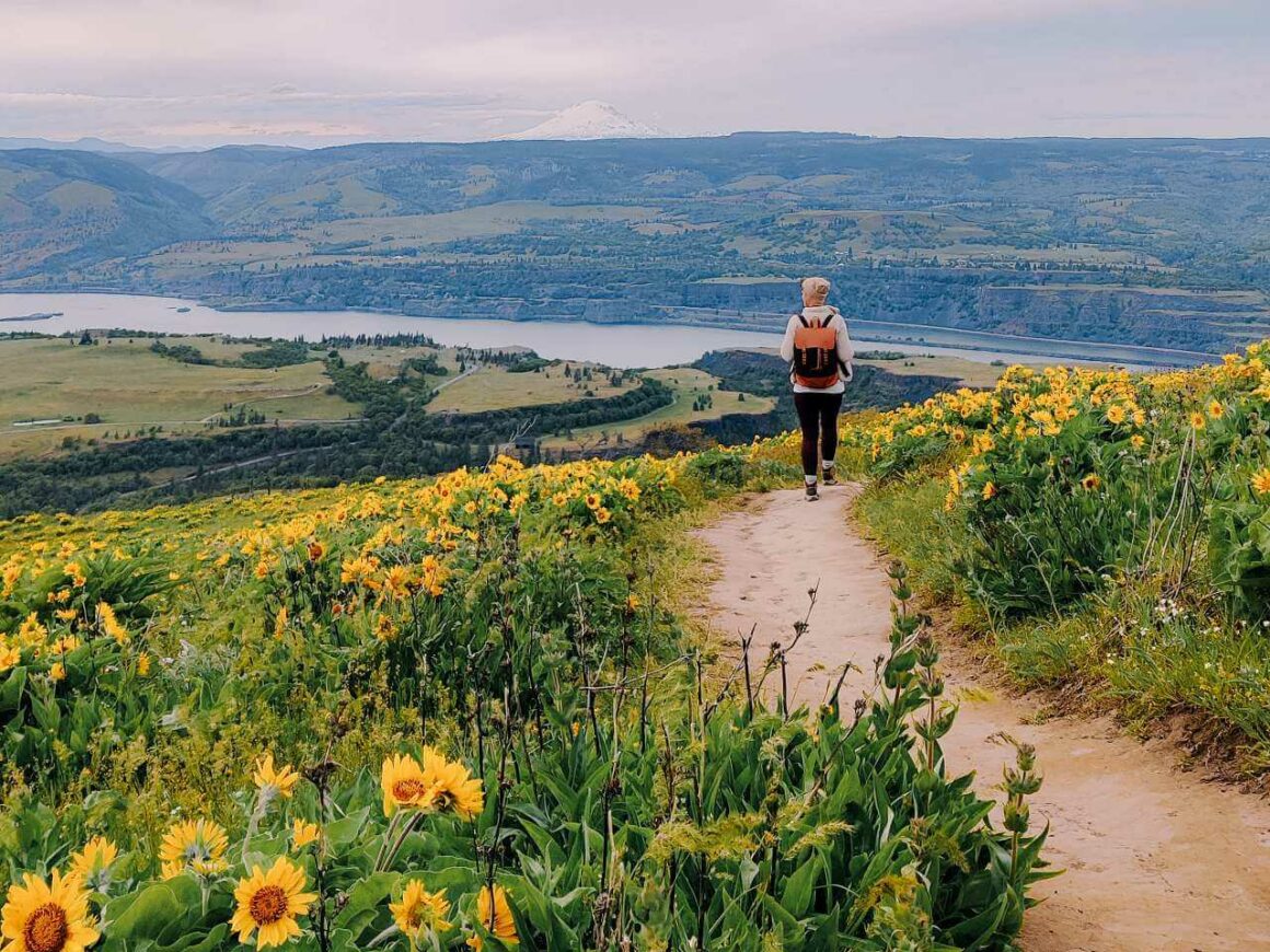 15 EPIC WILDFLOWER Hikes in the Columbia River Gorge