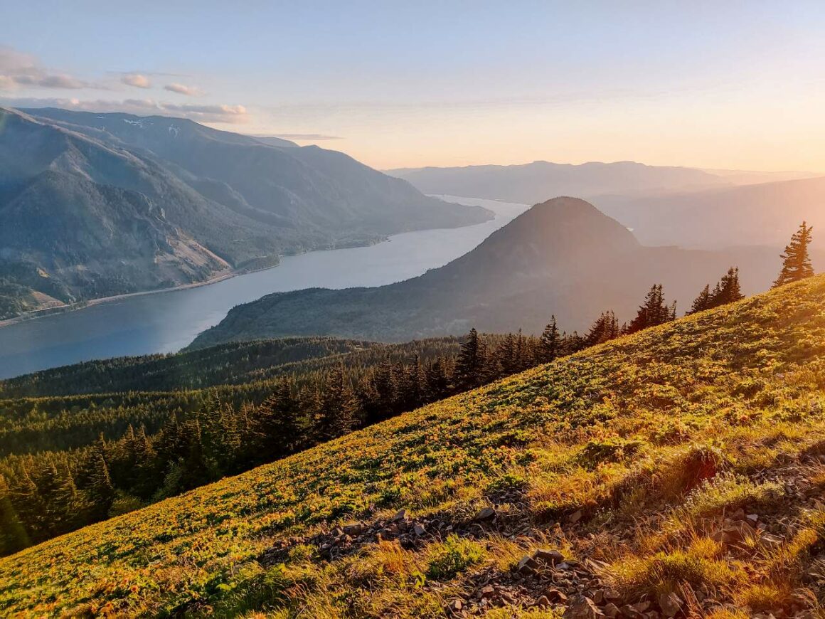 Dog Mountain, Columbia River Gorge,Washingtom