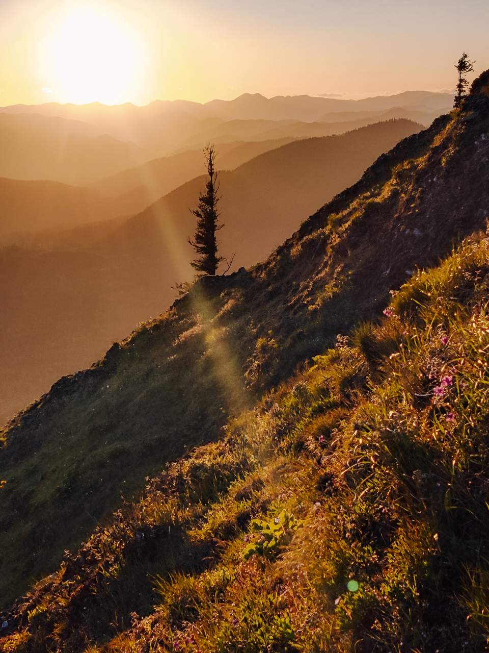 Sonnenuntergang auf dem Gipfel des Dog Mountain