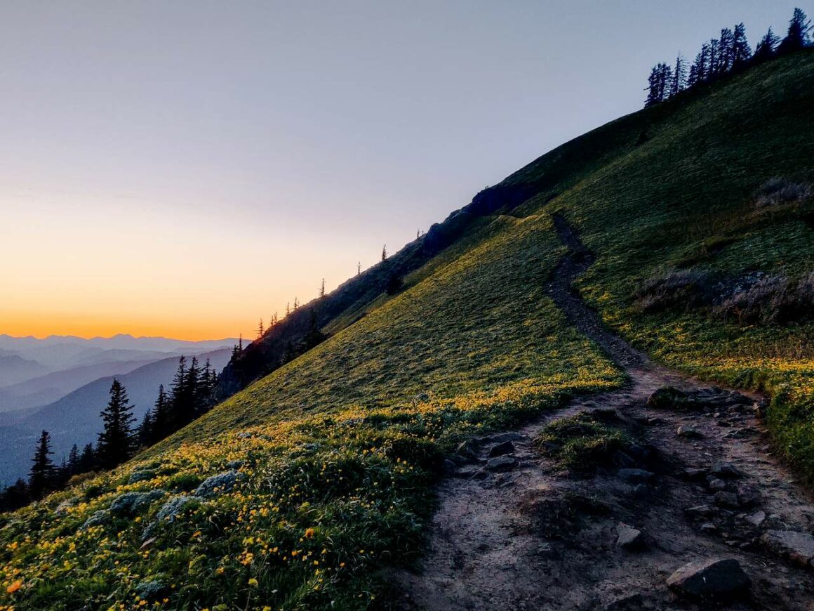 Letzte Etappe zum Gipfel des Dog Mountain, Washington kurz vor Sonnenuntergang