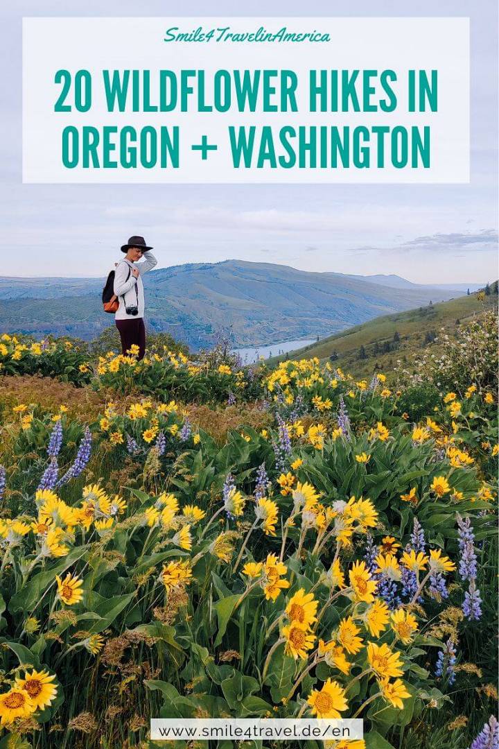Oregon & Washington Wildflower Hikes in the Columbia River Gorge - Voyages  with Val