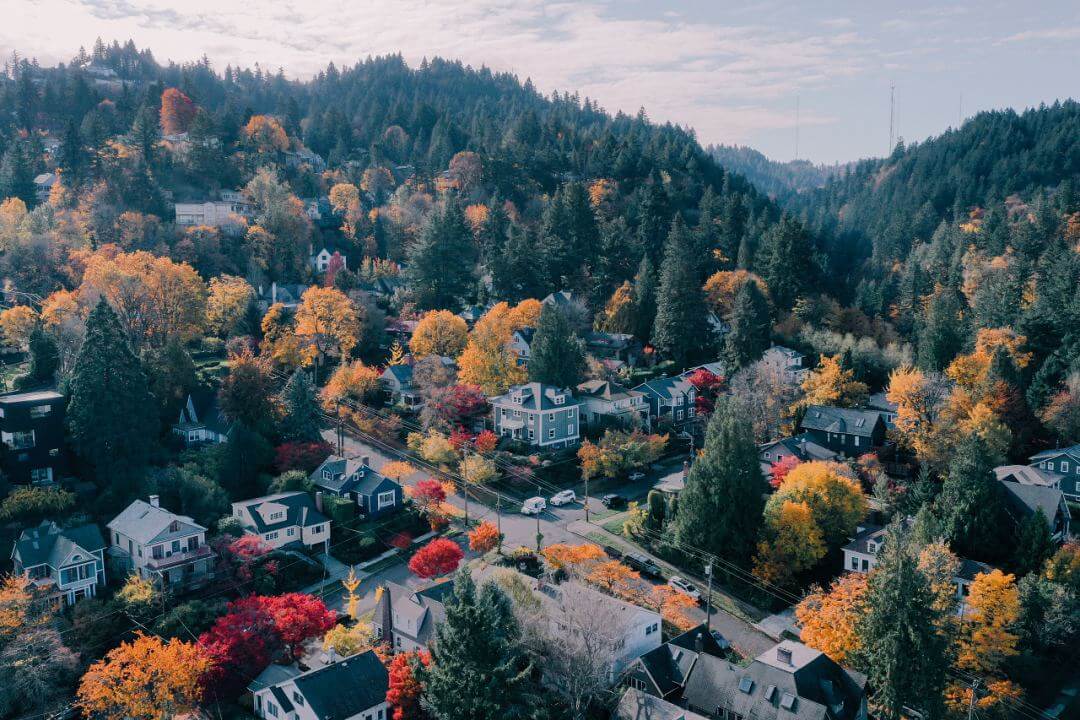 6 Stunning Fall Foliage Hikes in Oregon - Clever Neighbor