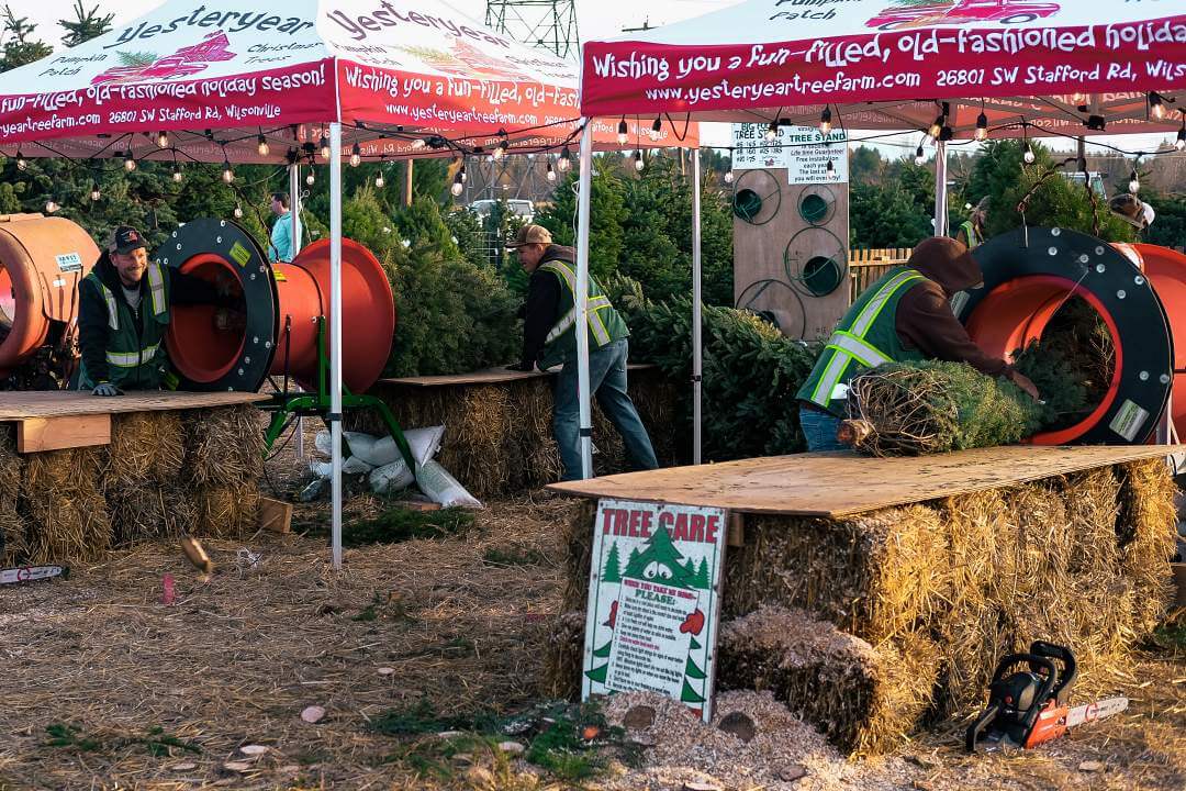 Christmas Farm Portland