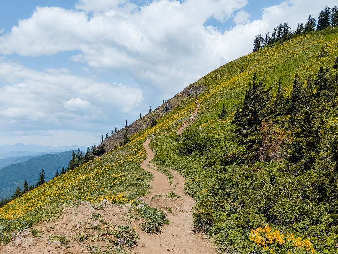 Letzte Etappe zum Gipfel des Dog Mountains am Nachmittag