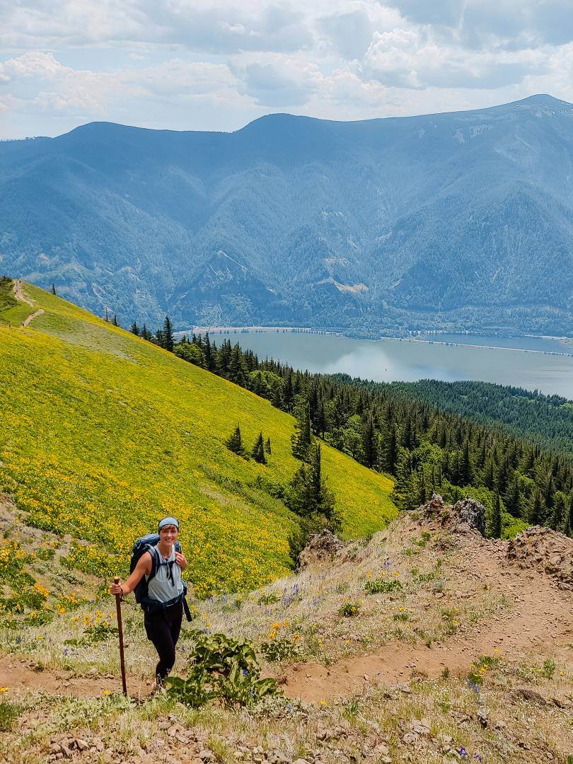 Panoramablicke vom Dog Mountain auf den Columbia River Gorge
