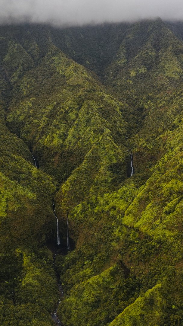 Mt. Waialeale Crater, Kauai