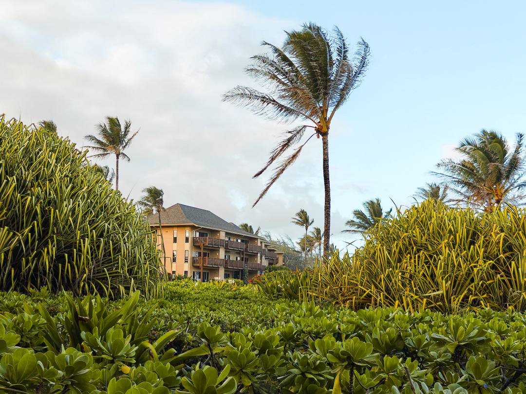 Where to stay on Kaua'i?Castle Kaha Lani Resort
